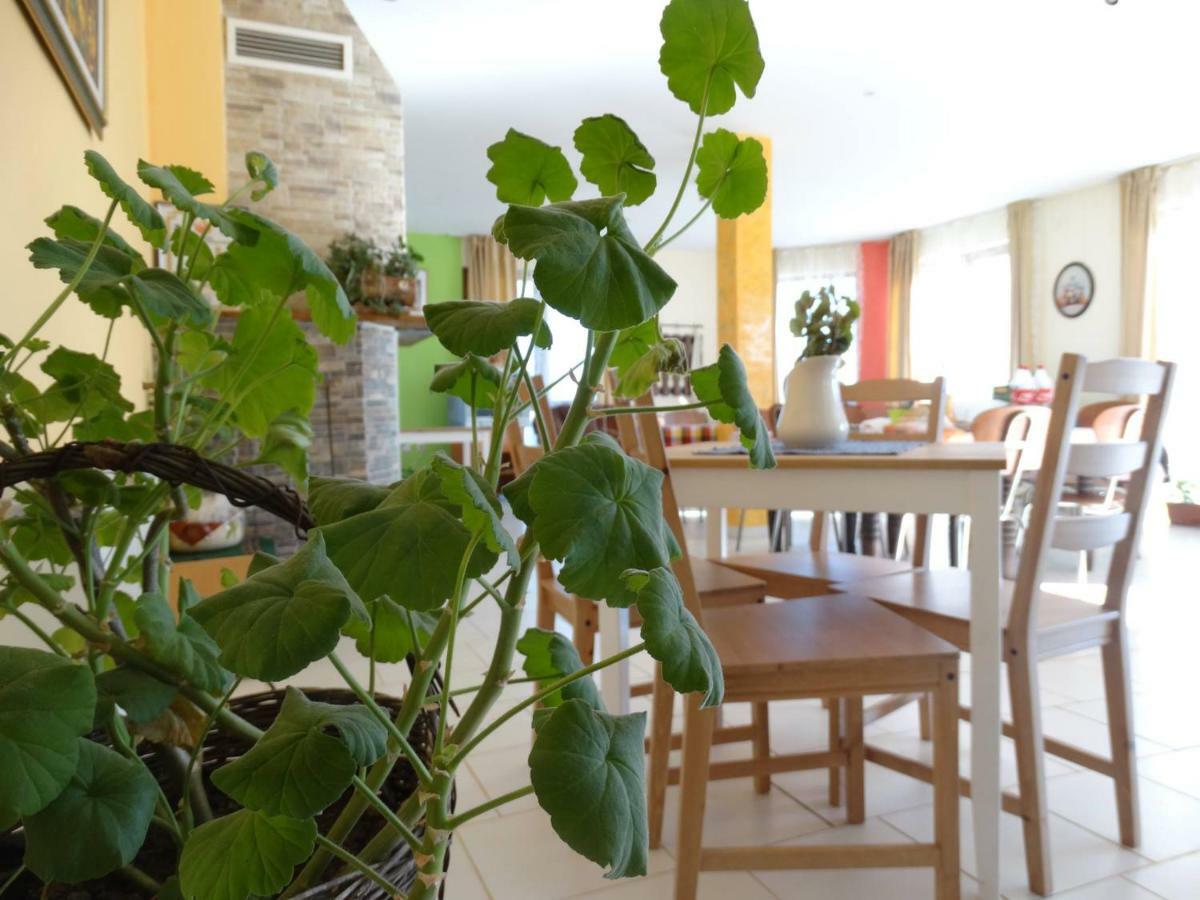 Guest House Misha Petrevene Esterno foto